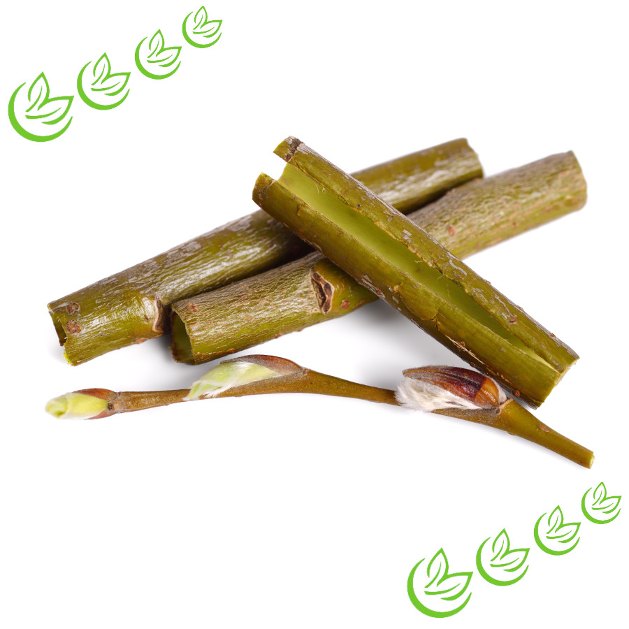 White Willow Bark Extrakt 20 %